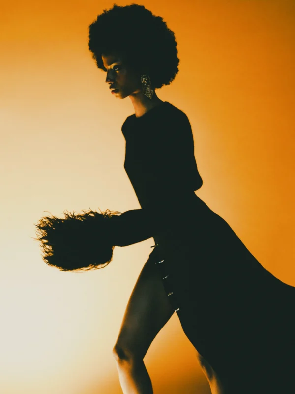 the color of elegance